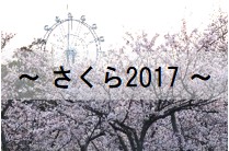 さくら2017小